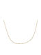 Ortaxidis from Gold 14K