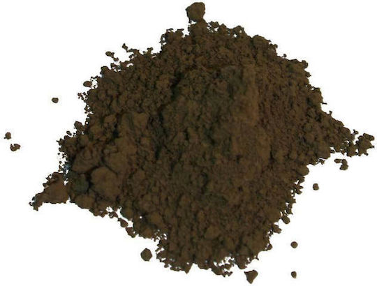 RGM Art Hagiography Powder Painting 100g