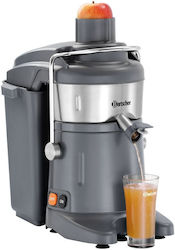 Bartscher juicer