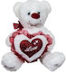 Plush Bear 35 cm