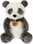 Plush Bear 25 cm