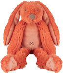 Plush Bunny 28 cm