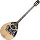 Zaranikas Bouzouki Lucrat manual Tricord