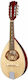 Acoustic Mandolin