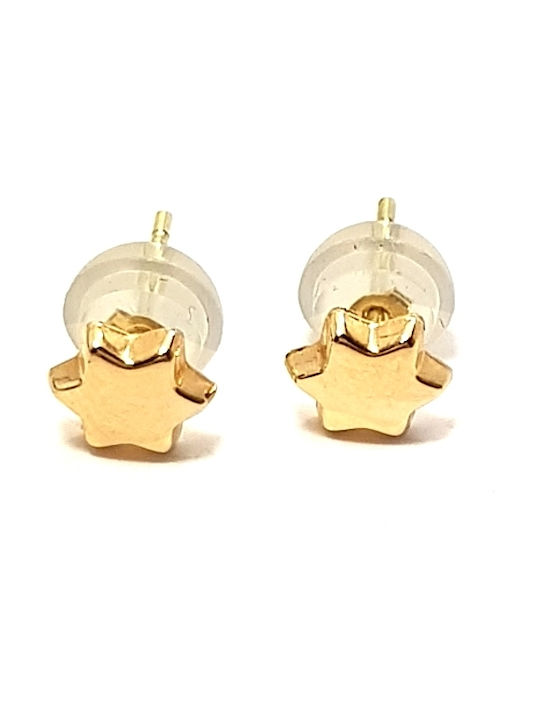 Earrings made of Gold 14K