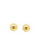 Earrings made of Gold 14K