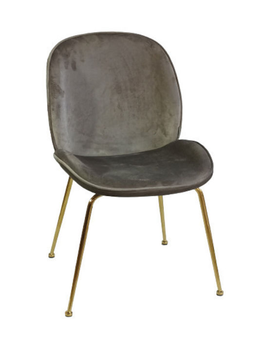 Carol-ch Dining Room Velvet Chair Gray 51x65x83cm