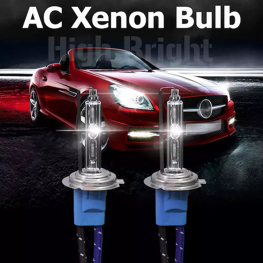 Car Xenon Kit Hid H7 55W 12V 6000K Cold White