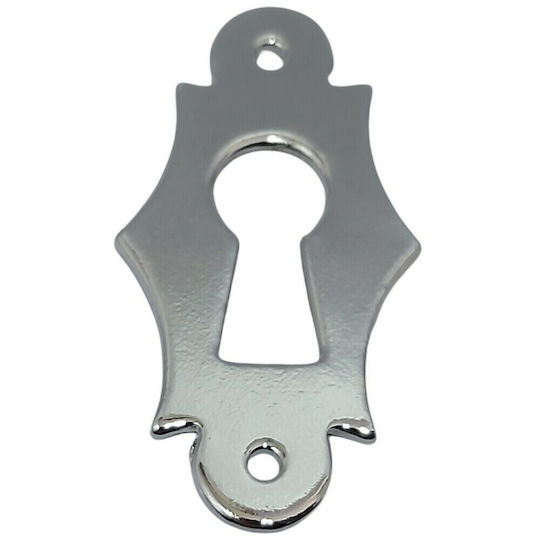 Rosette - Door Escutcheon Furniture Silver