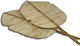 Desktop Decoration Garden Bamboo 30cmx100cm 77.0558