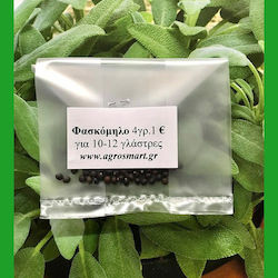 Seeds Sage 4gr