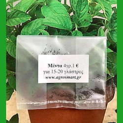 Seeds Mint 4gr