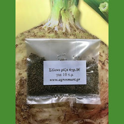 Seeds Celery 6gr