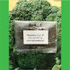 Agrosmart Seeds Broccoli 8gr