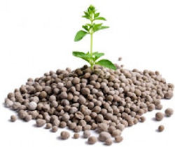 Granuliertes Düngemittel Stickstoff Phosphor Kalium 1kg Granuliertes Düngemittel Stickstoff Phosphor Kalium 1kg