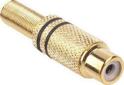 Prolink 214563333 Βύσμα RCA