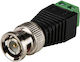 BNC male Connector 1pc