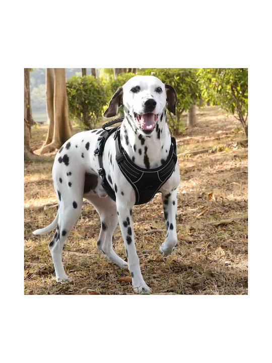 Animal Dog Harness Vest Black Medium 22.08.25492