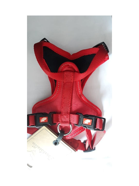 Ferribiella Dog Harness Cesare Blue