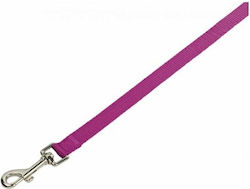 Nobby Dog Leash/Lead Strap Classic in Purple color