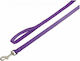Nobby Dog Leash/Lead Strap Classic in Purple color