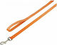 Nobby Dog Leash/Lead Strap Classic in Orange color