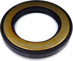 Oil Seal Car