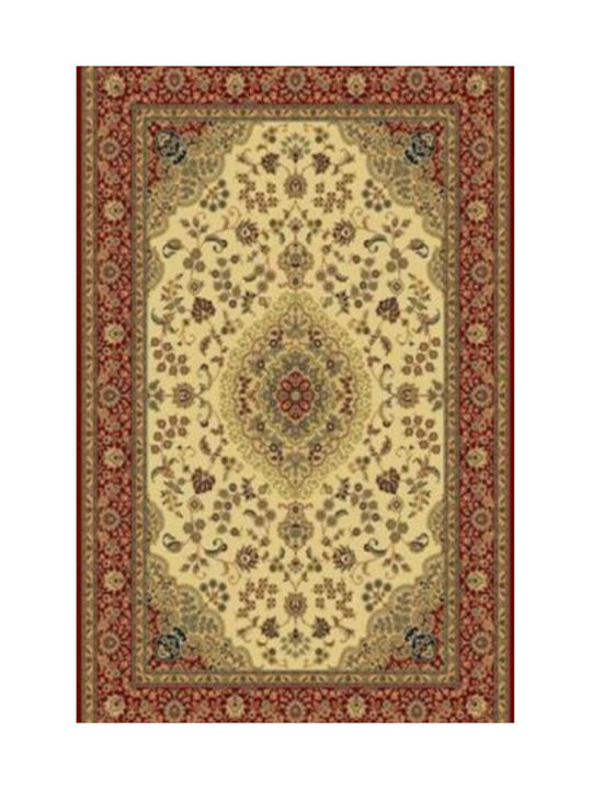 Rug Rectangular Red