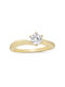 Single Stone from Gold 14K