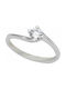 Single Stone from White Gold 14K