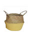 Wicker Decorative Basket