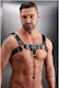 Ανδρικό Harness Μαύρο