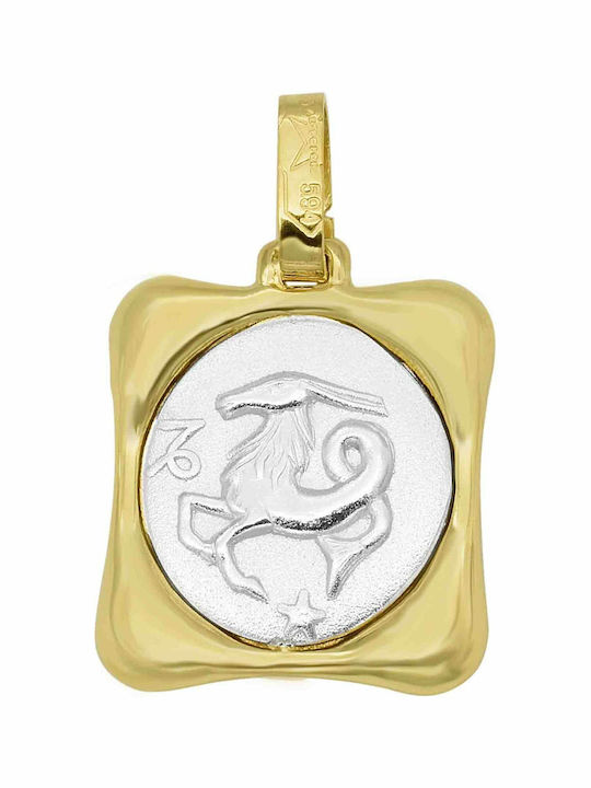 Kinder-Motive Tierkreiszeichen aus Gold 14K