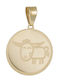 Kinder-Motive Tierkreiszeichen aus Gold 14K