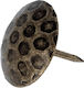 Amig Cuie Decorative