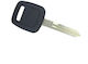 Car Key with Immobilizer