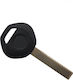 Car Key with Immobilizer