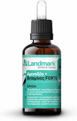 Landmark Αμινοξέα + Βιταμίνες Forte