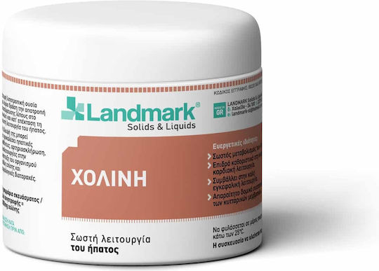 Landmark Cholin Vitamin Für Vögel 100g