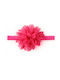 Baby Headband Fuchsia 1pc
