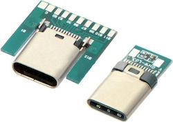 USB Connector (12-00B619)