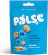 Palse Vegan Chips 28gr