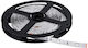 Horwood Bandă LED 12V Alb Natural Lumină 5m Tip SMD3528