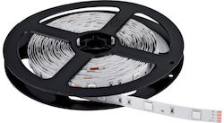 Horwood Waterproof LED Strip 12V with Cold White Light 5m