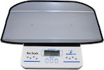 Momert Electronic Commercial Scale