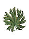 Bordallo Pinheiro Round Ceramic Decorative Platter Green 66x66cm