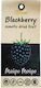 HealthTrade Osmotic Σουσάμι Μαύρο Ψίχα 80gr