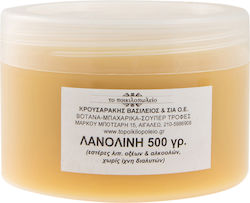 Το Ποικιλοπώλειο Λανολίνη Κεραλοιφή 100gr
