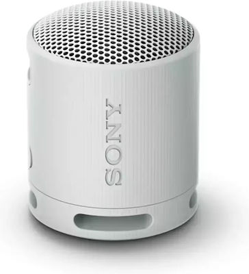 Sony SRS-XB100 SRSXB100H.CE7 Bluetooth Speaker Gray