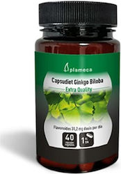 Full Health Ginkgo Biloba 40 Mützen